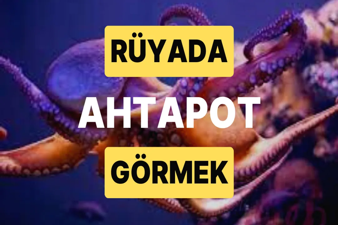 Rüyada ahtapot görmek, Eylemlerin Dönüşümü