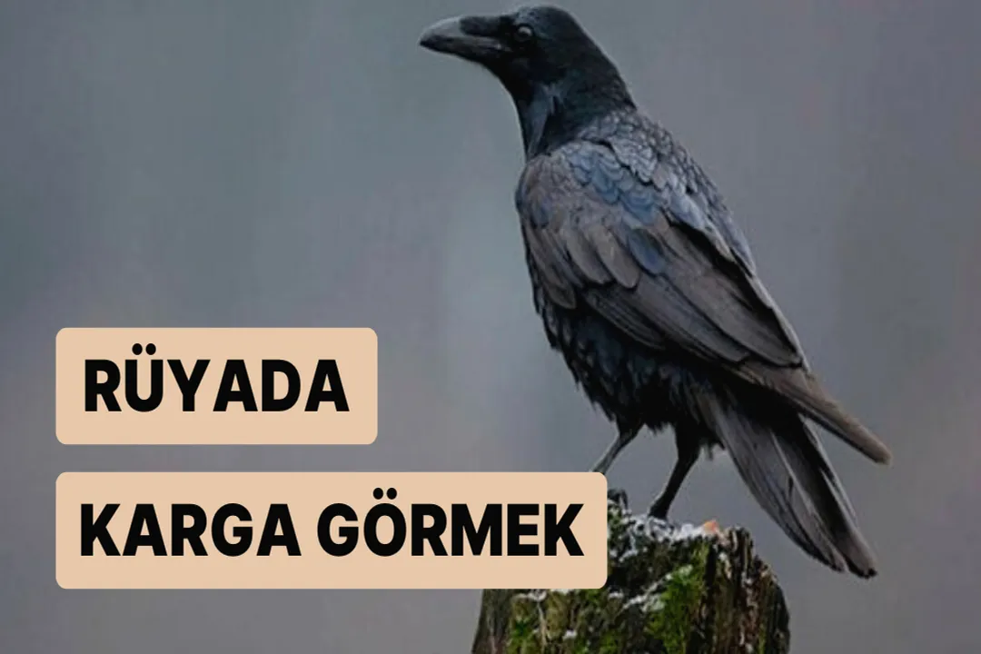 Rüyada karga görmek, Durum Değişkenleri