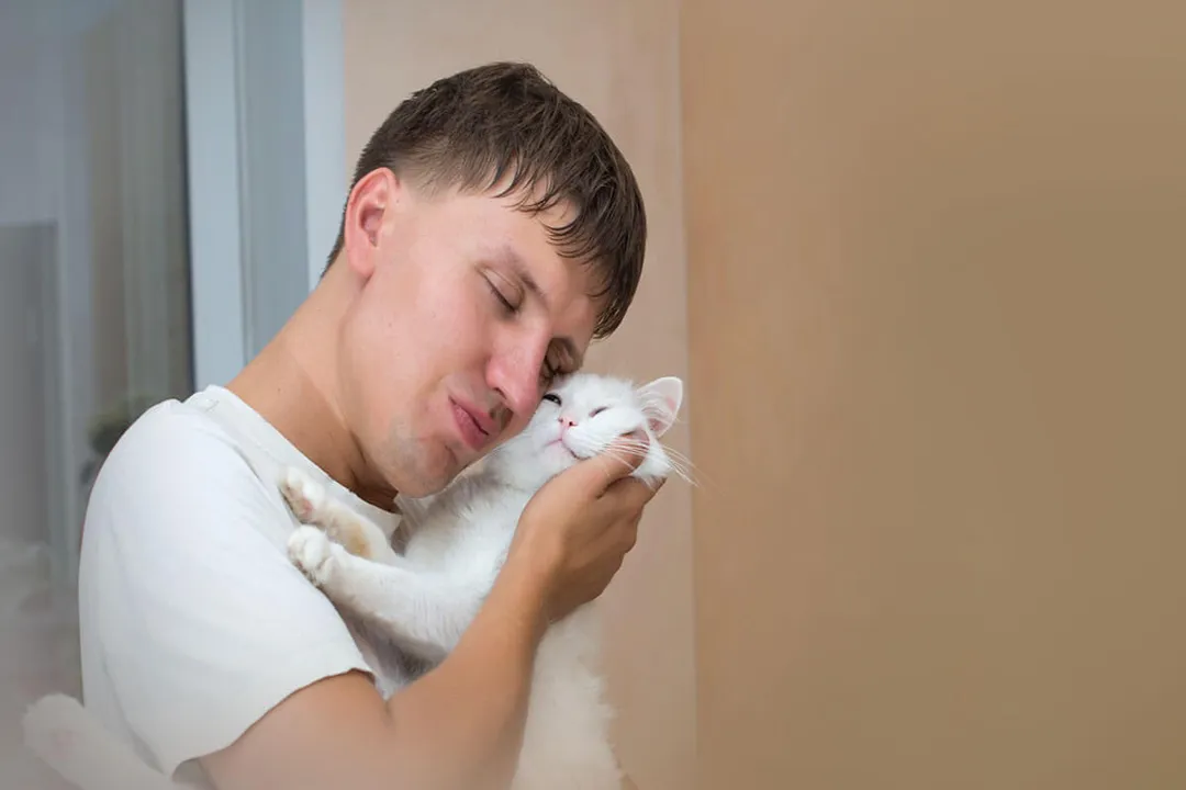 Rüyada kedi kucaklamak, Kucaklama Etkisi