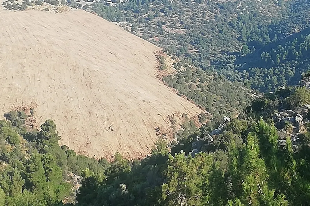 Rüyada yılan tutmak, Yılanın Rengi ve Yorum