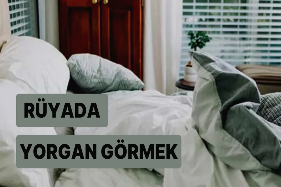 Rüyada yorgan taşıyan birini görmek, Taşıma Eylemi