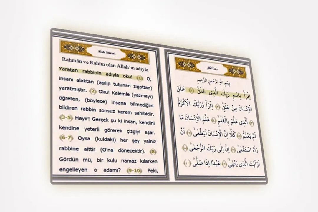 Rüyada Alak Suresi'ni Okumak, Dünya Nimetleri