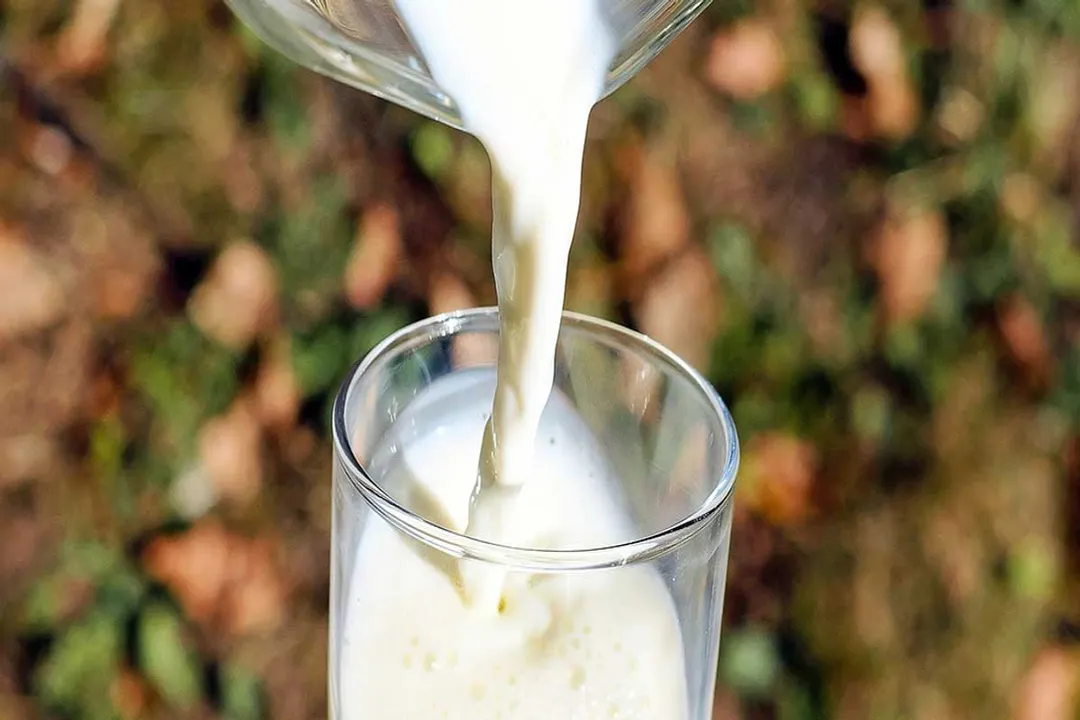 Rüyada Ayran İçmek, Huzur Dinginlik