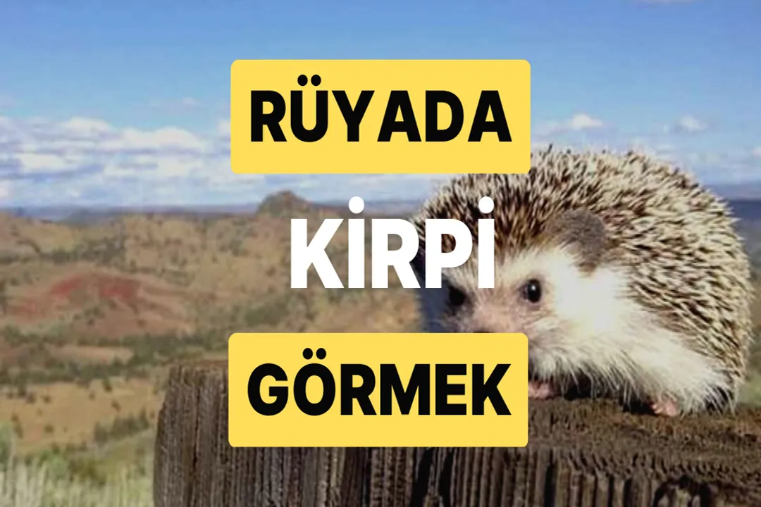 Rüyada Kirpi Görmek, Olumlu Yorumlar