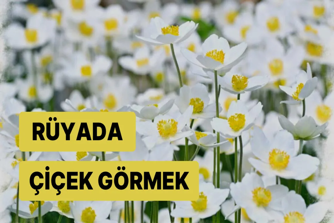 Rüyada Beyaz Çiçek Görmek, Eylem Yorumları