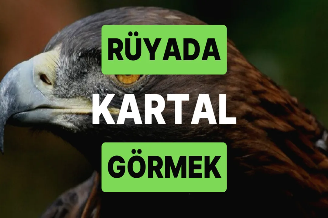 Rüyada kartal görmek