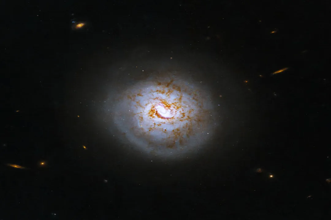 How fast do spiral galaxies spin?, Galactic Velocity