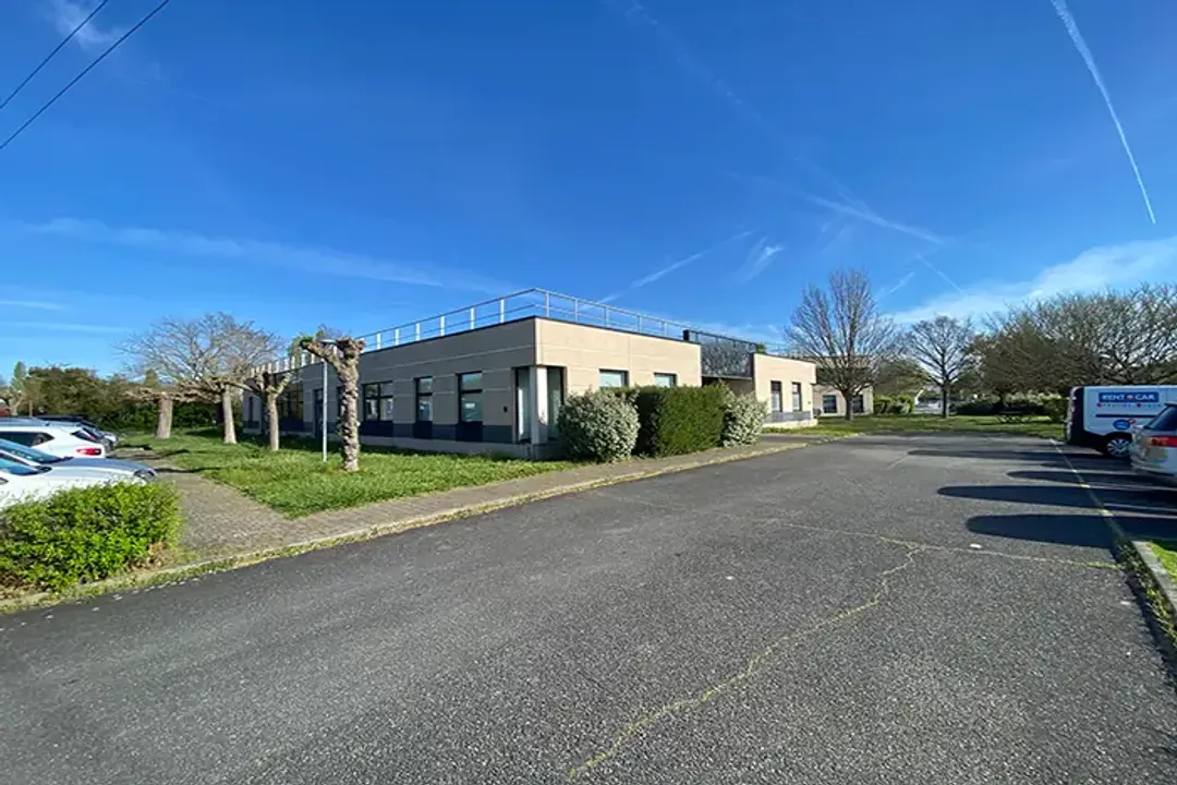 How many LEO satellites does Globalstar have?