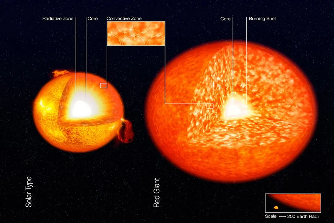 How the star will become a red giant after the main sequence phase?, Shell Burning Ignition