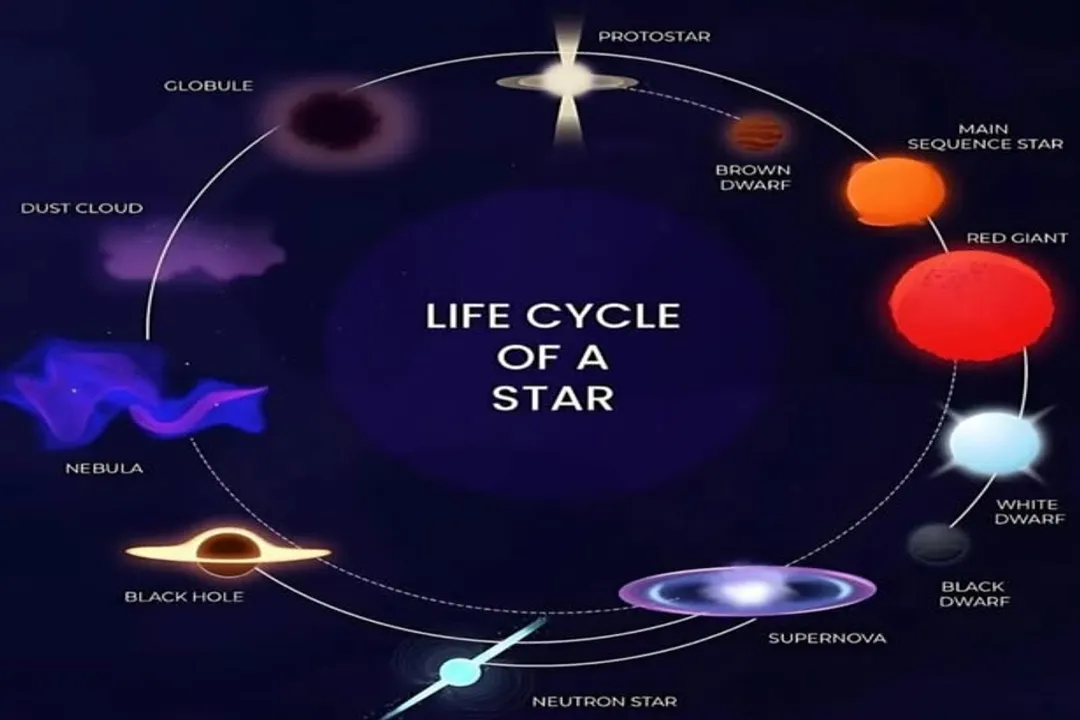 How the star will become a red giant after the main sequence phase?, Fuel Exhaustion