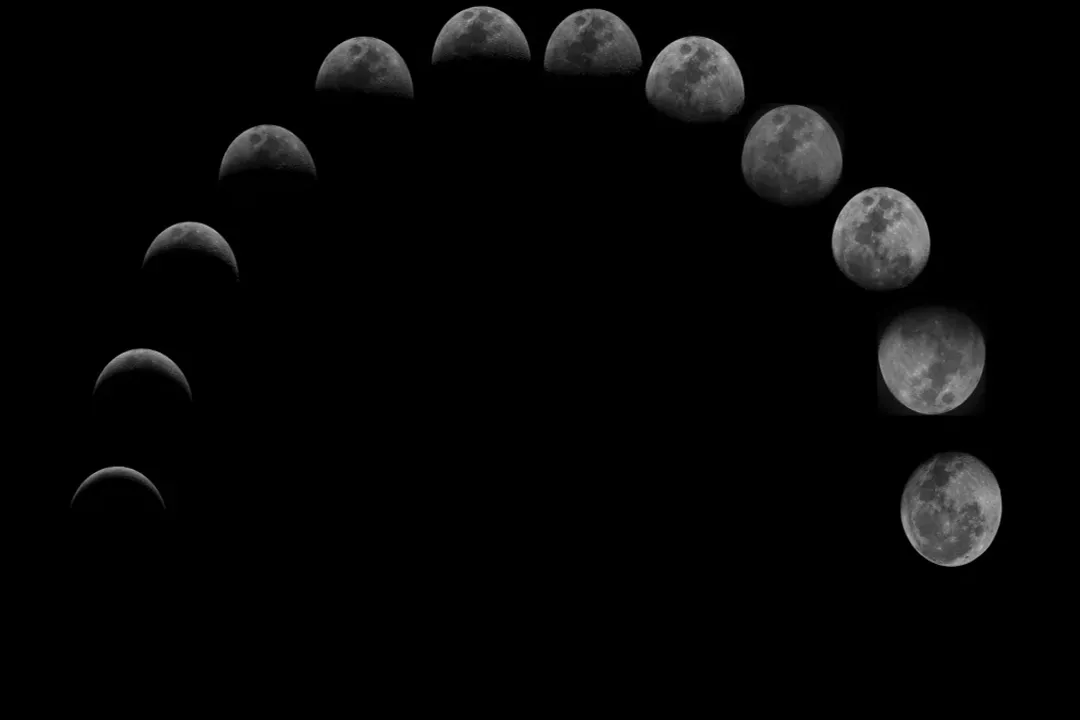 How to view the black moon?, The August Night