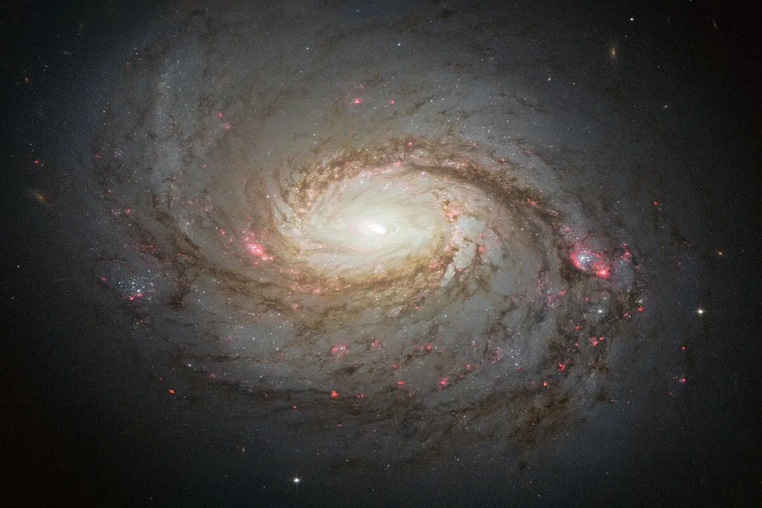 Is a spiral galaxy gas or dust?, Disk Distribution