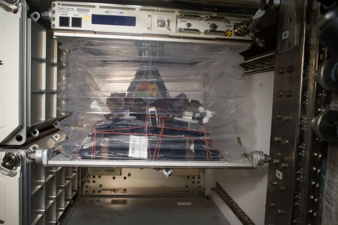 Was lettuce grown in space?, Growing Gear