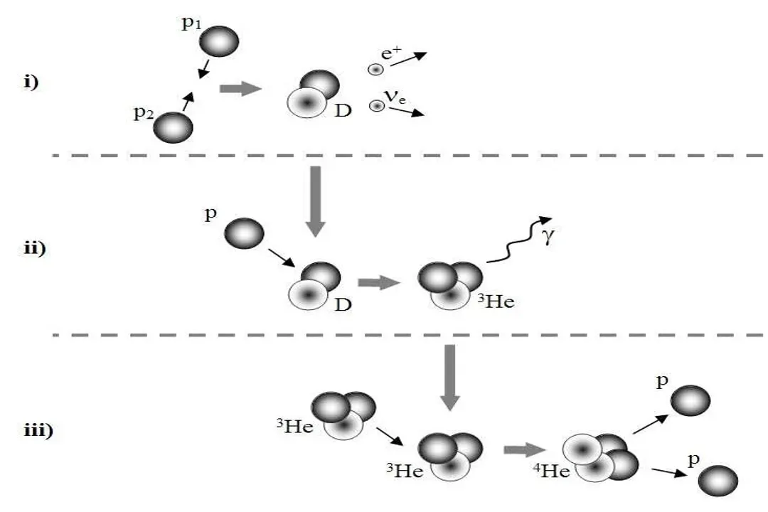 What element is being fused in the core of a star?, Stellar Mass Determines Fate