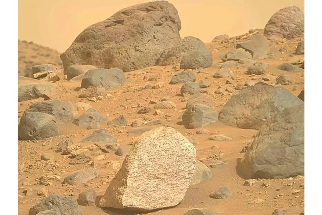 What is the evidence for microbial life on Mars?