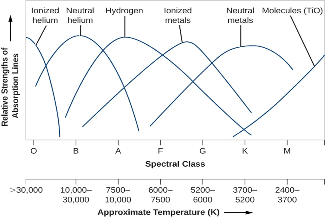 What is the order of classification of stars from hottest to coldest?, White Stars