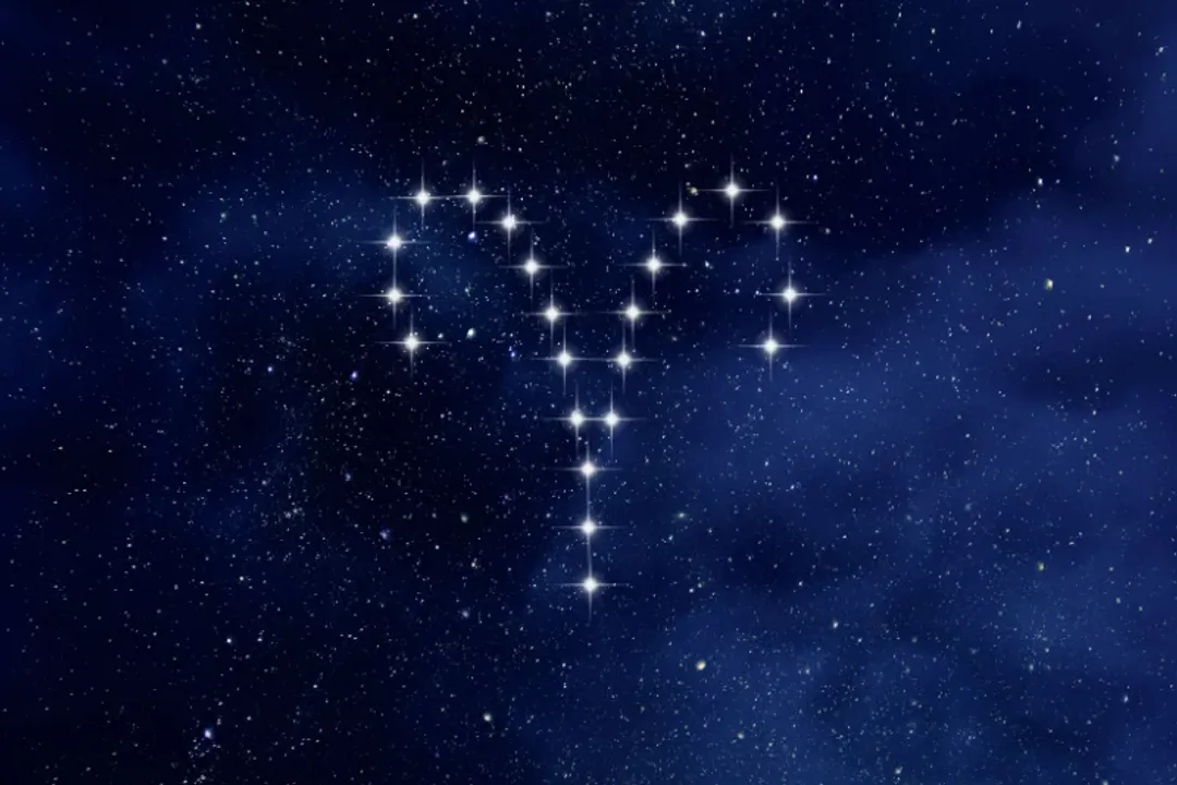 What is the zodiac constellations lie along the Sun's apparent path in the sky?, Celestial Path