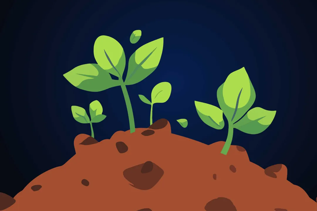 What planet is most likely to be terraformed?, Mars Focus