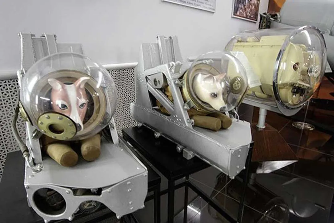 What watch do NASA astronauts wear today?, ISS Wear