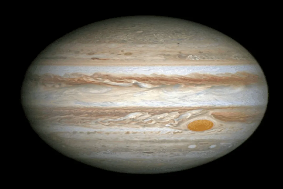 What will UY Scuti turn into when it dies?, Star's Scale