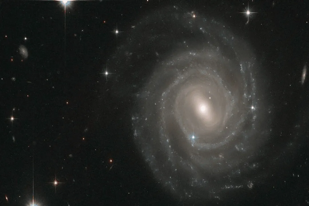 What's in the Orion Arm?