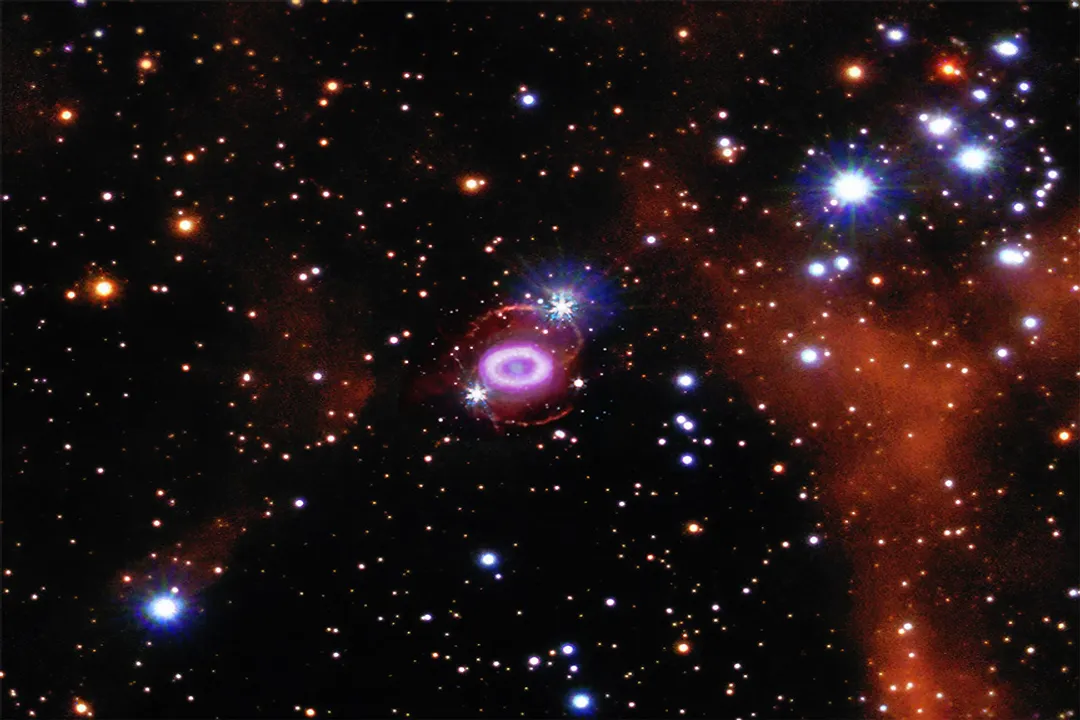 Who witnessed the first supernova?