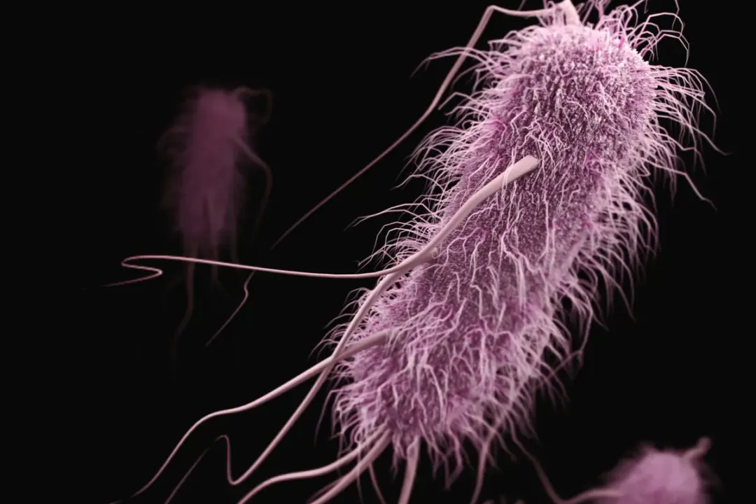 Why was the Indian satellite launched by SpaceX?, Broader Ecosystem Implications