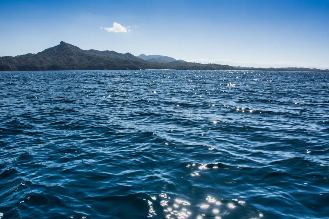 Did the solar nebula create Earth?