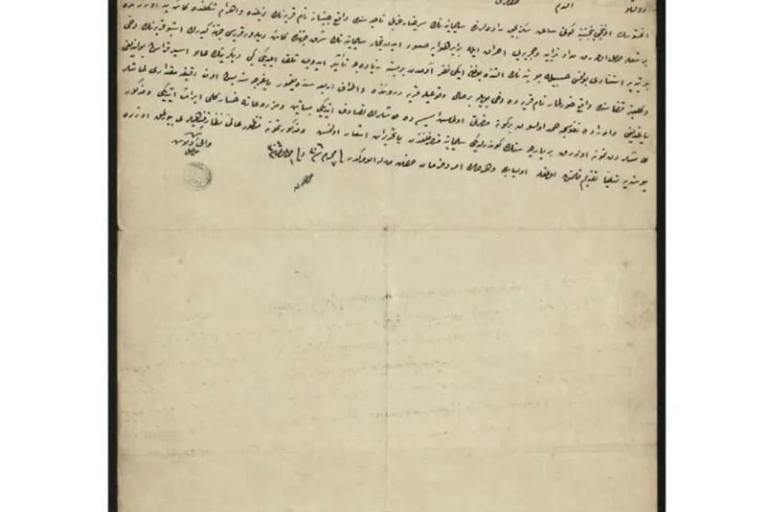 Has a meteor ever killed a human?, Confirmed Death