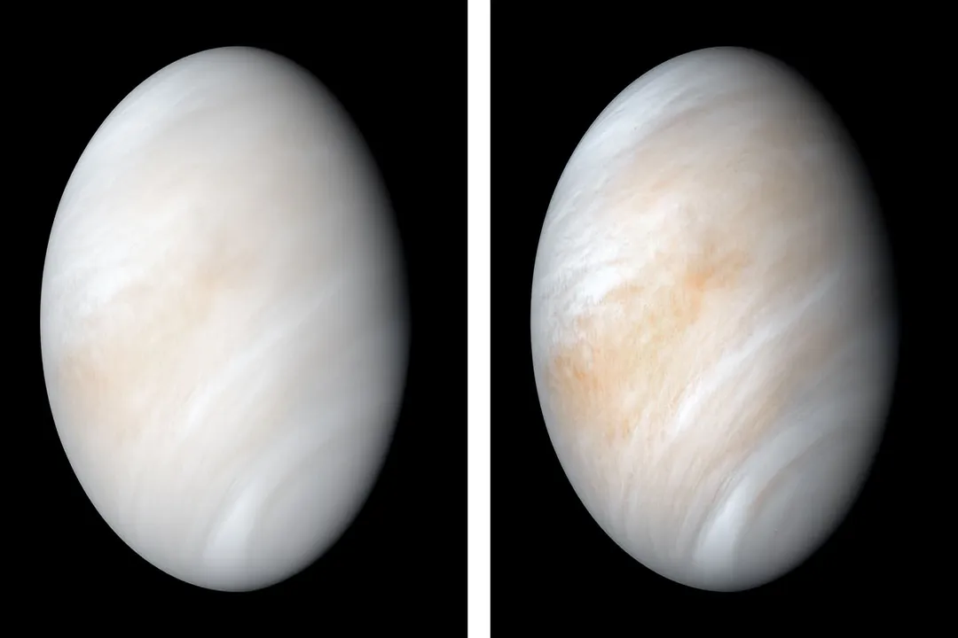 How many images of Venus' surface are there?, The Small Count