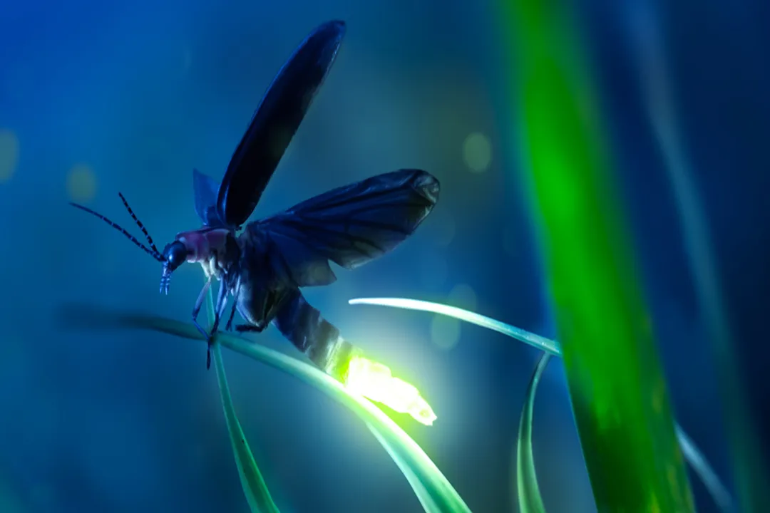 Is astronomy a soft science?, Hard Soft Spectrum