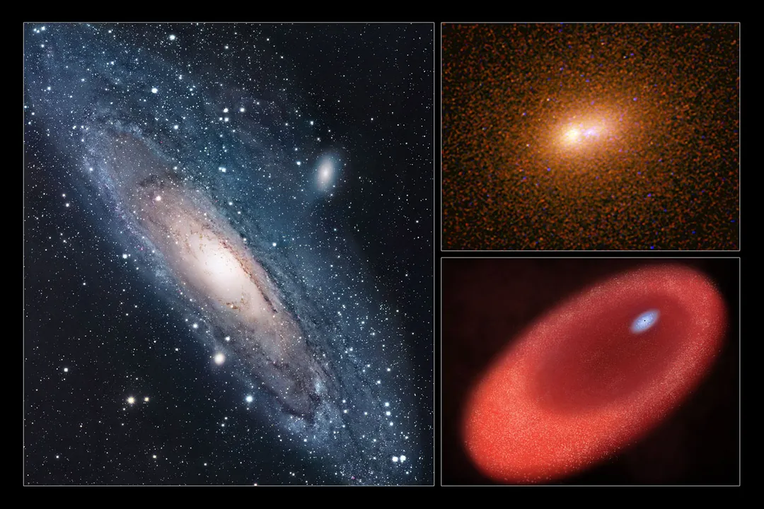 Is there a black hole in the middle of the Andromeda galaxy?, The Core Mass