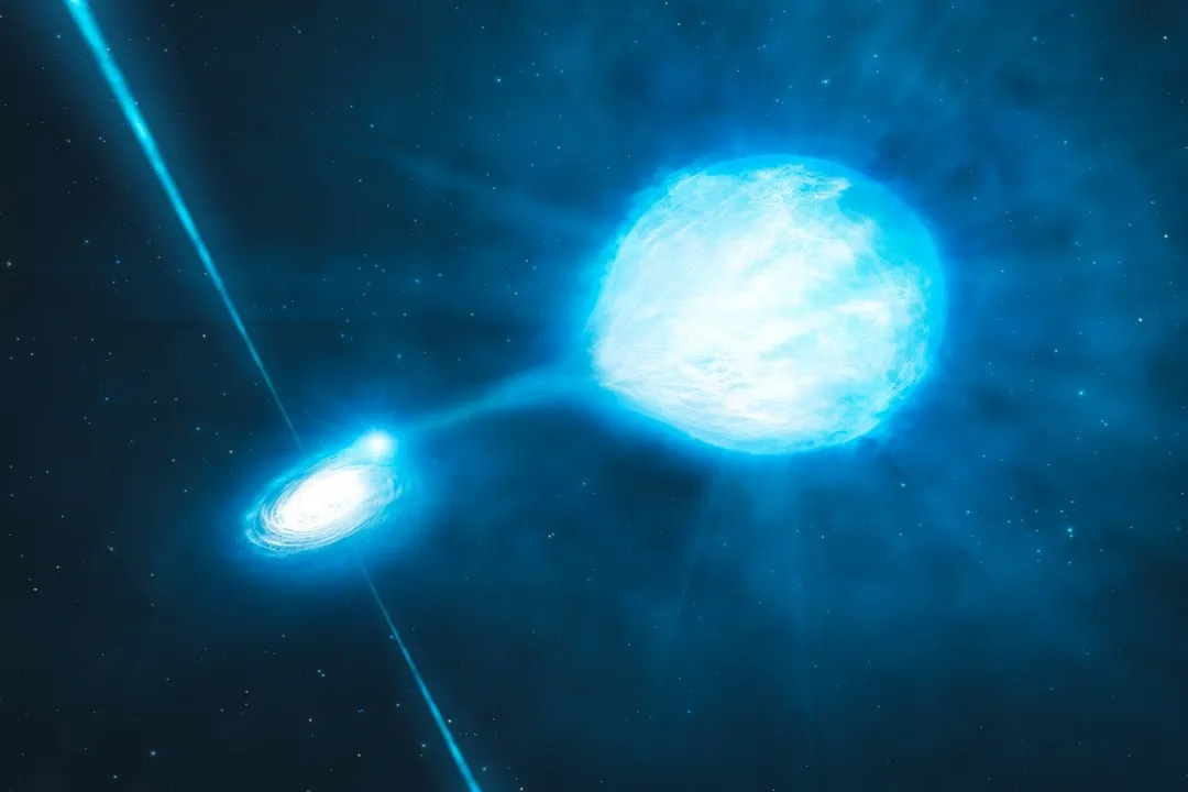 What are the elements in a massive star?