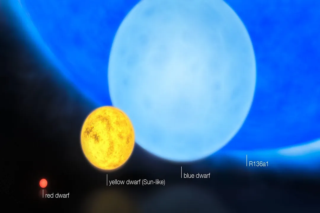 What are the elements in a massive star?, Layered Synthesis