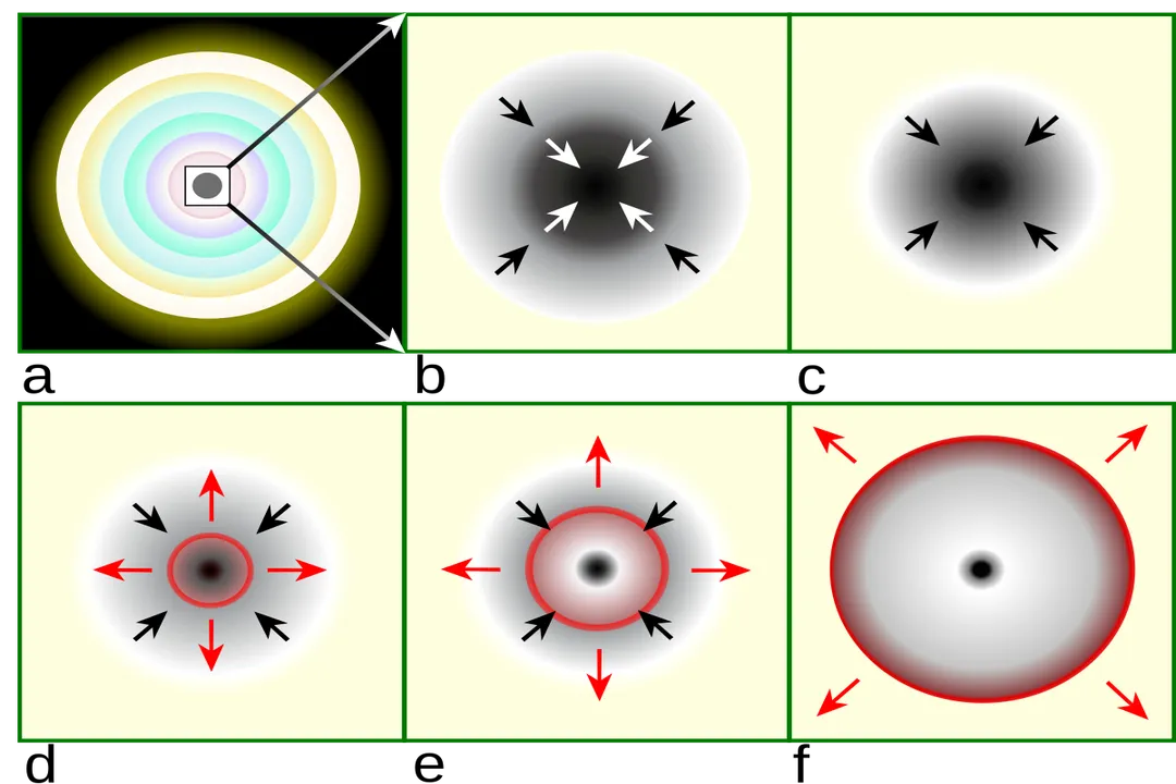 What causes the gravitational contraction of a protostar to stop?