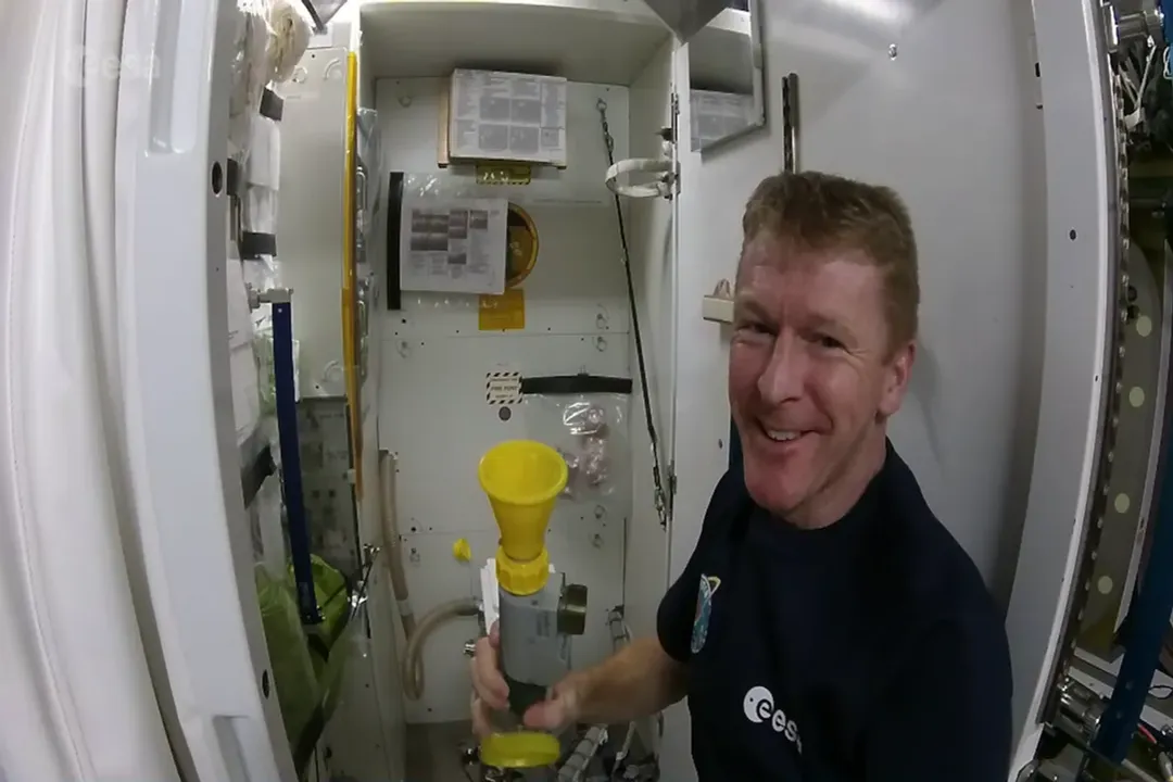 What do astronauts do for hygiene in space?, Body Cleansing
