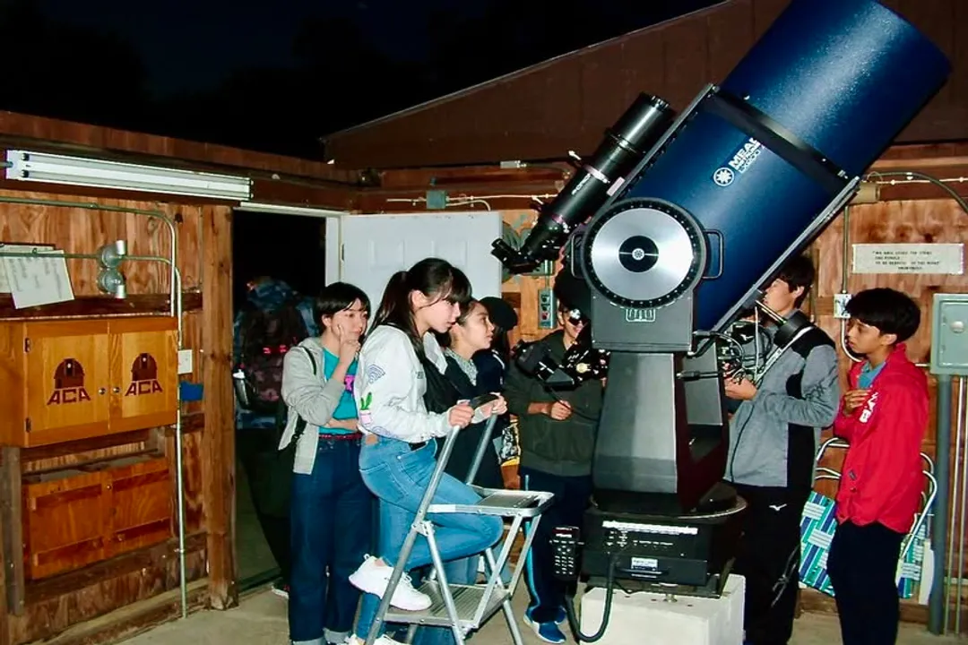 What is the Sagittarius Arm in the solar system?, Spiral Structure