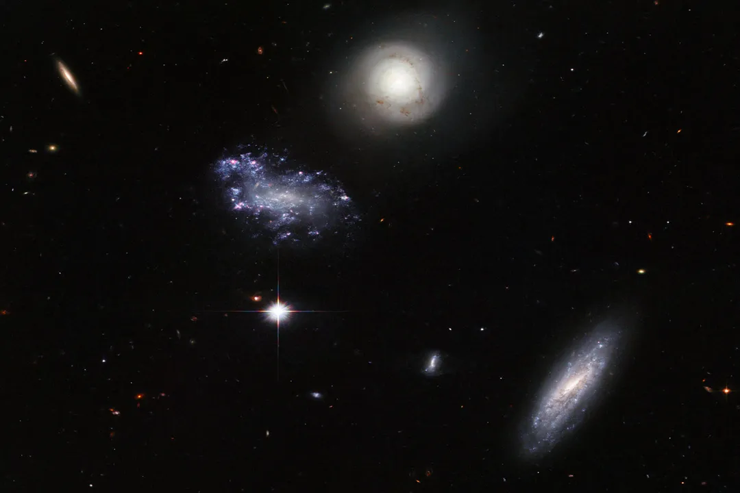 What makes galaxies different shapes?, Spin Dictates Shape