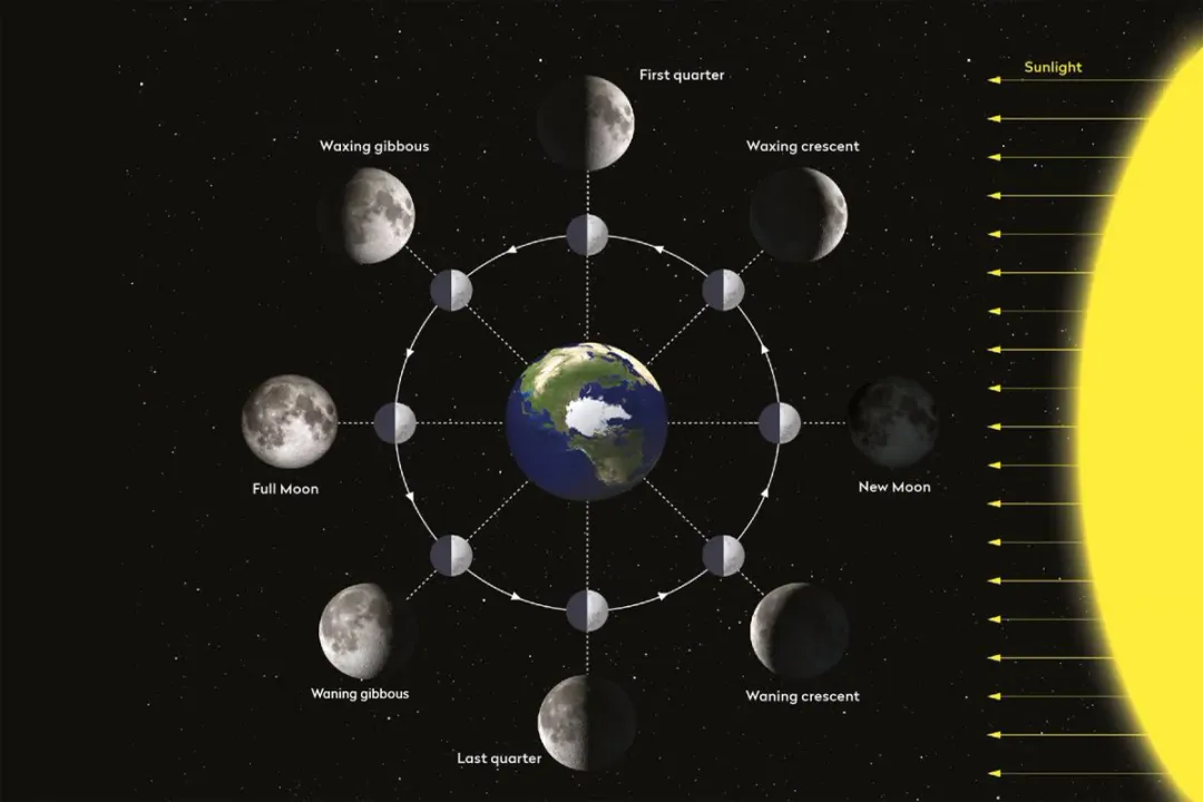 What part of the Moon do we not see?, Surface Variance
