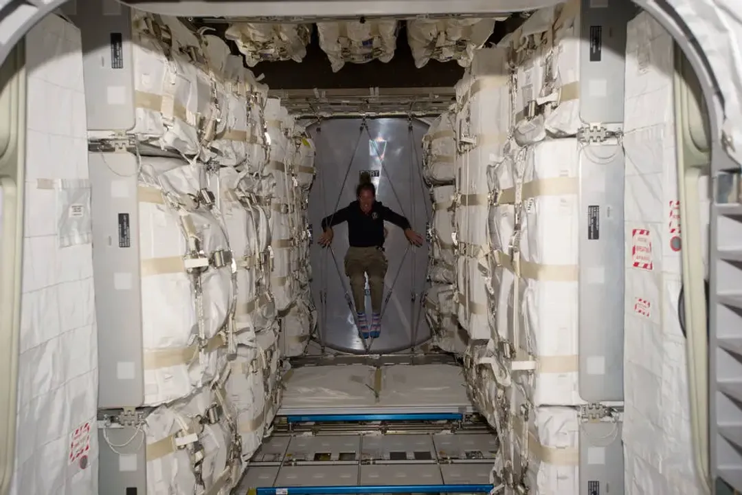 What was the last thing NASA launched?, Cargo and Destination