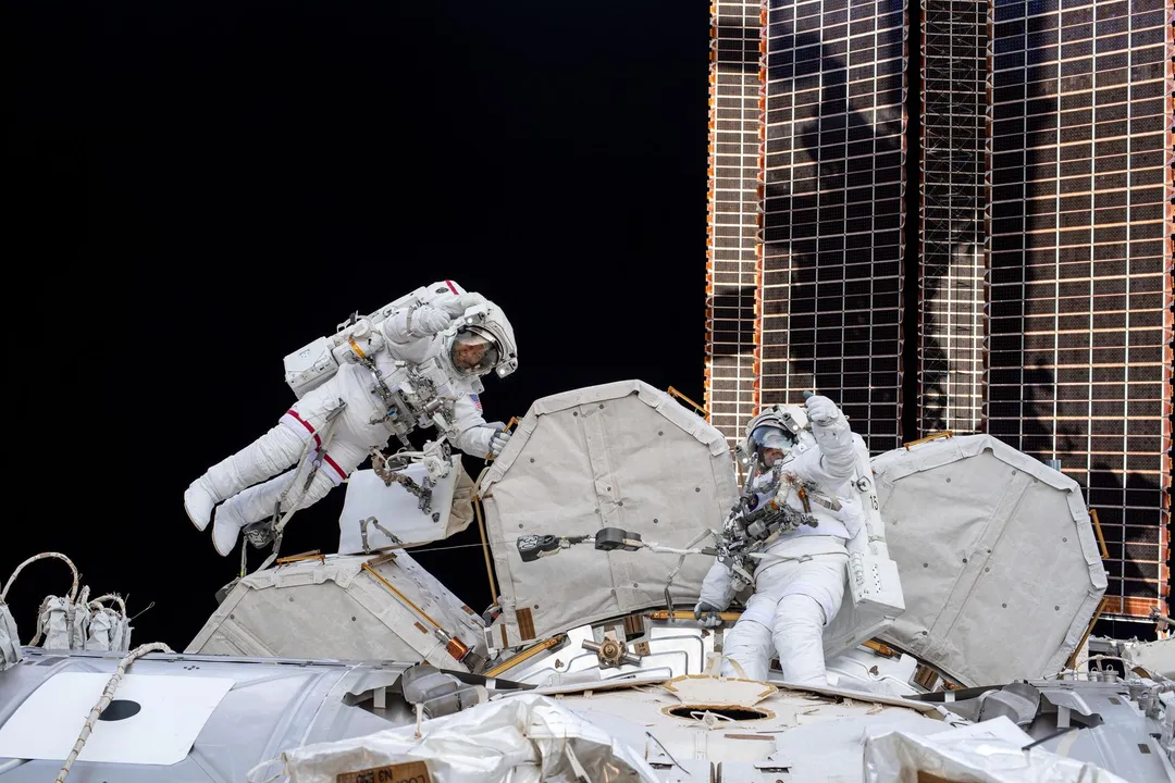 What's the point of astronauts going to space?, Scientific Returns