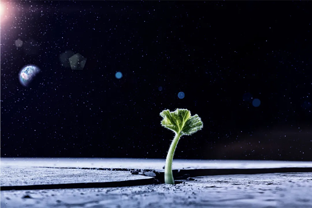 Why are scientists concerned with finding Earth-like planets?, Defining Analogs