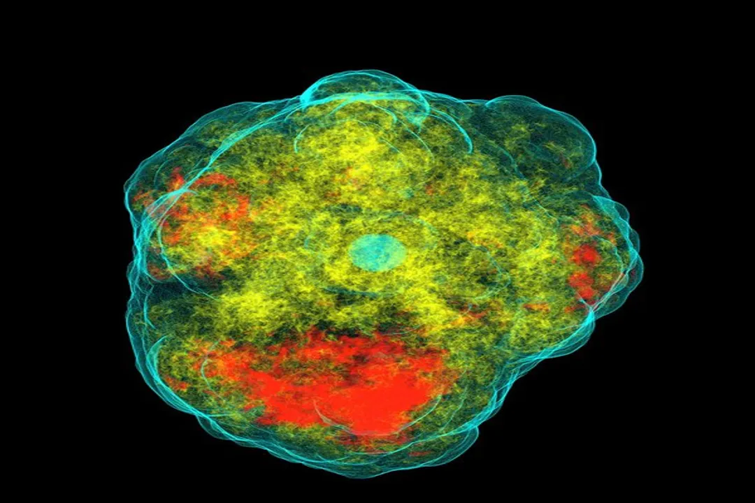 Why do supernova remnants look like rings rather than spheres?, Pre-ejected Torus