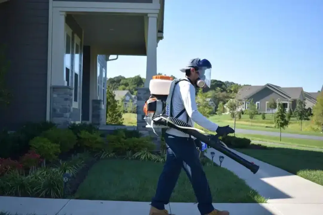 Am I hearing locusts or cicadas?