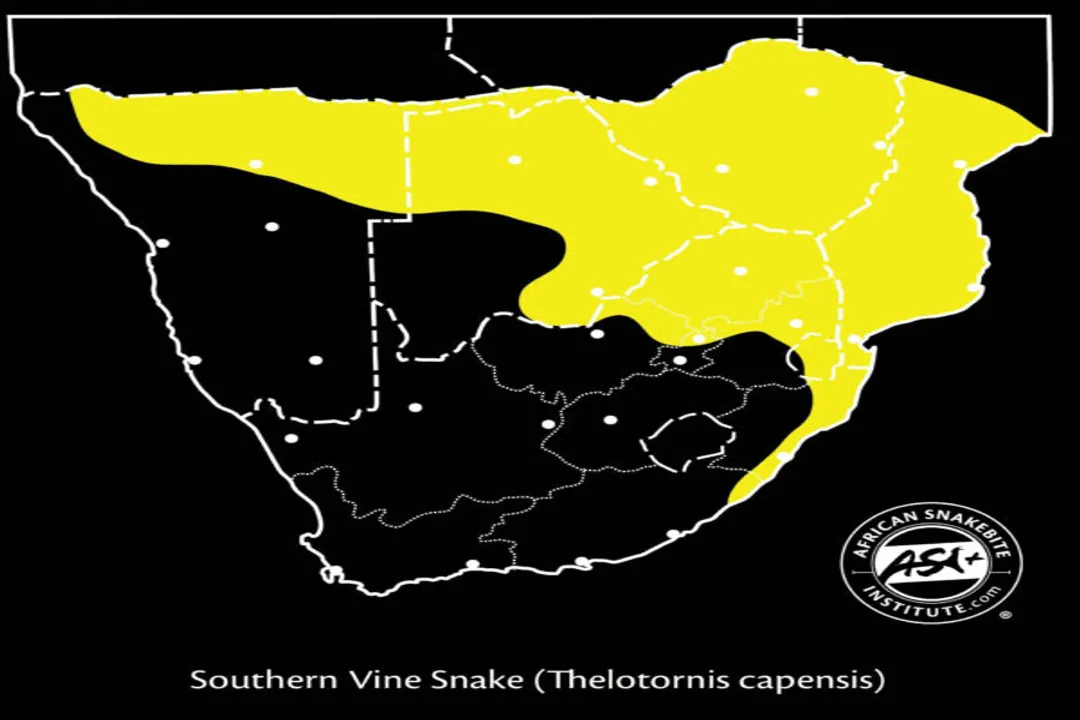 Are bird snakes venomous?, Venom Danger