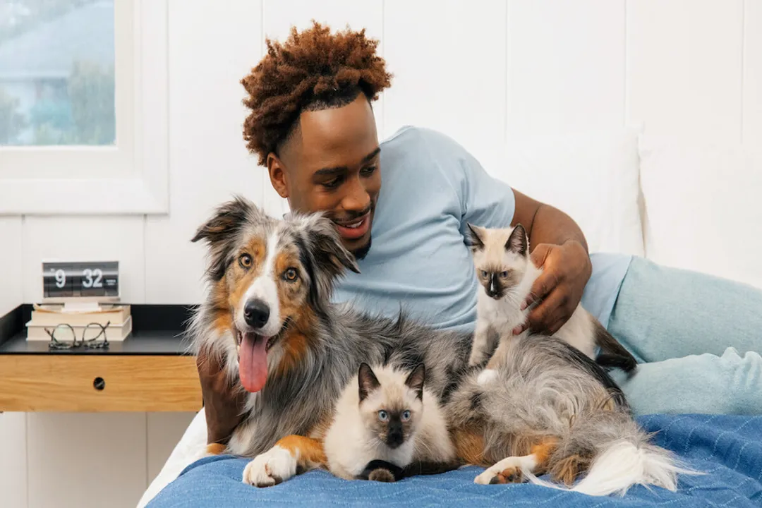 Are Chinese Crested dogs prone to seizures?, Low Blood Sugar Danger