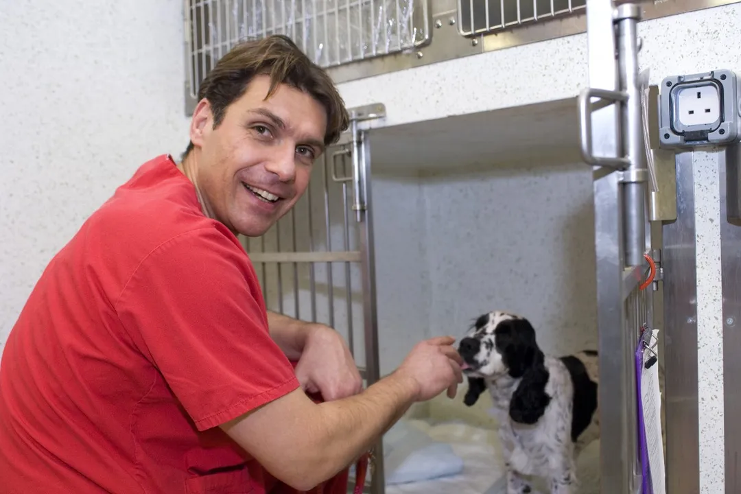 Are Chinese Crested dogs prone to seizures?, Breed Health Notes