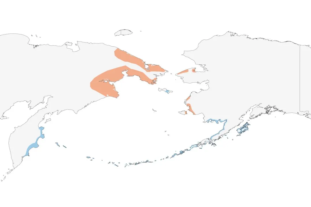 Are emperor geese rare?, Range Habitat