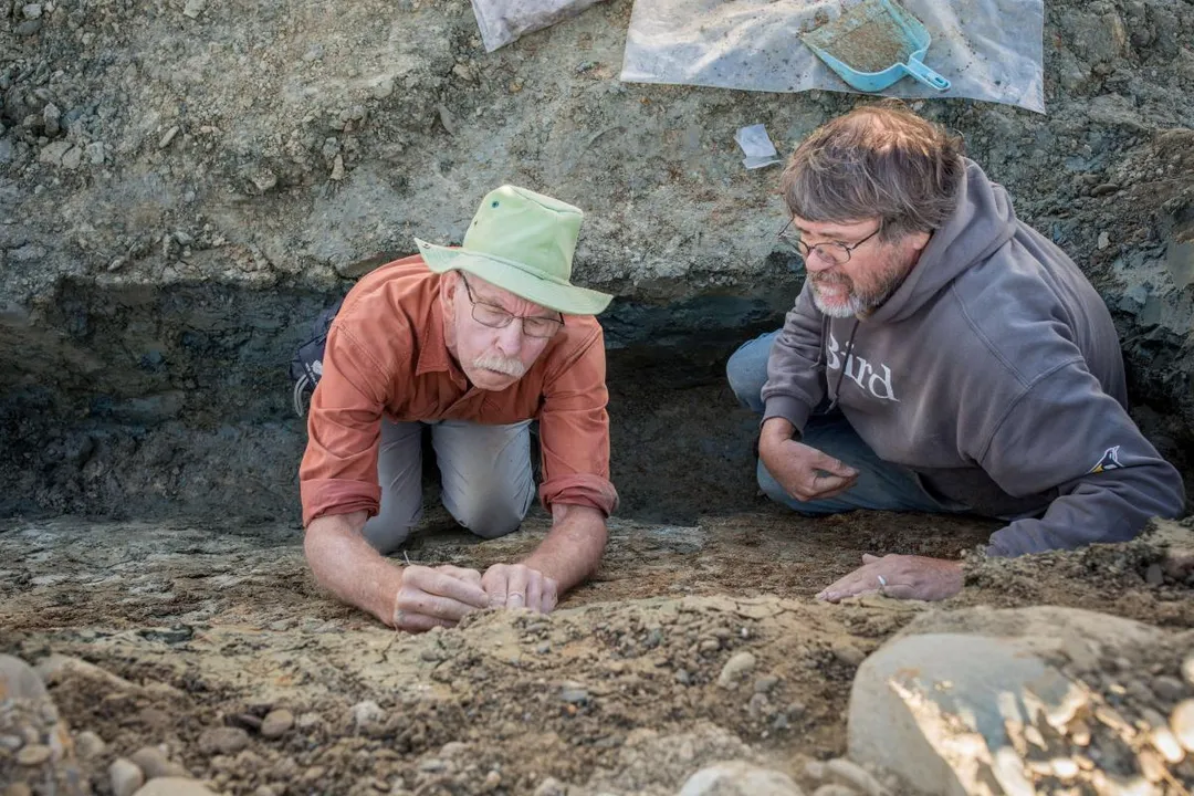 Are magpies prehistoric?