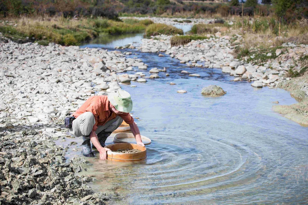 Are magpies prehistoric?, Ancient Family